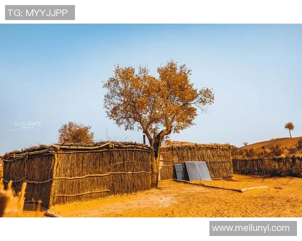 古铁雷斯的传奇人生与不屈精神探秘之旅