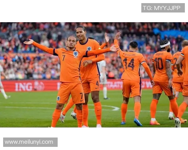 荷兰与瑞典欧洲杯激战在即球迷期待精彩对决与历史交锋