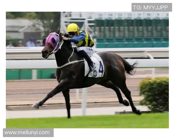 帕奎塔的足球之路：从新星崛起到世界舞台的闪耀之旅