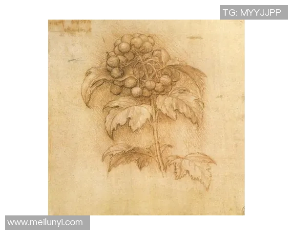 尼古拉武切维奇的艺术之路与对现代文化的深远影响